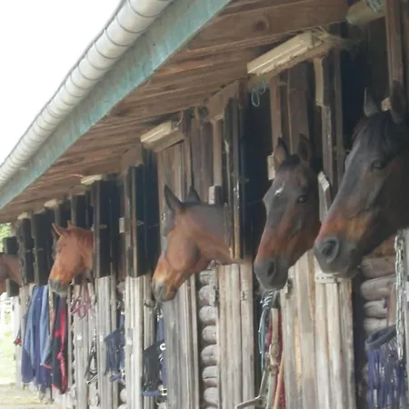 - Tannenhof Riding And Semesterbostad Hillershausen