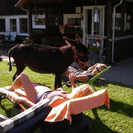 - Tannenhof Riding And