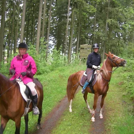 - Tannenhof Riding And Semesterbostad